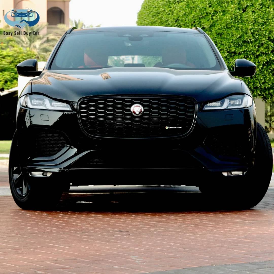 A Journey into the World of Jaguar